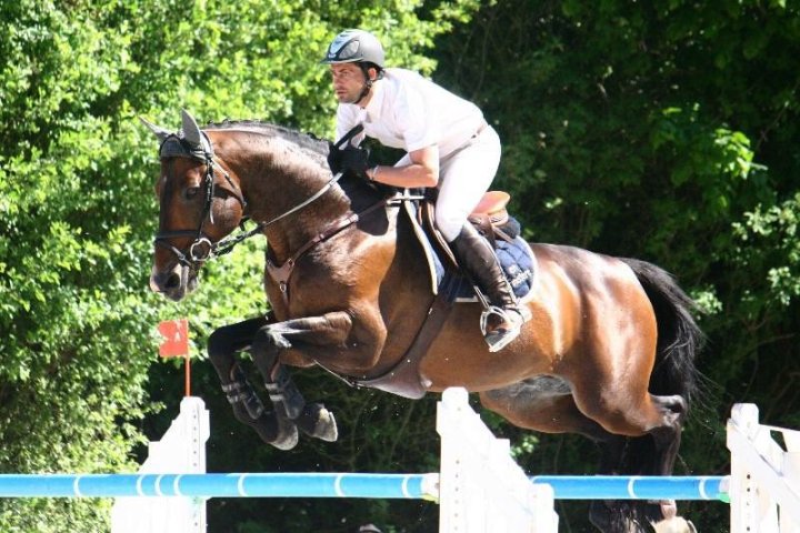 Geronimo Bleus d'Amaury